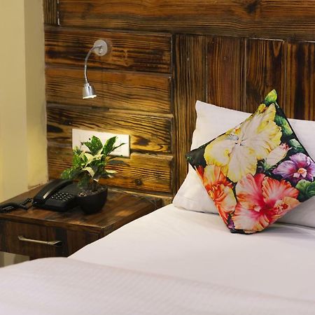 Nirvana Lodge And Lounge Mussoorie Kültér fotó